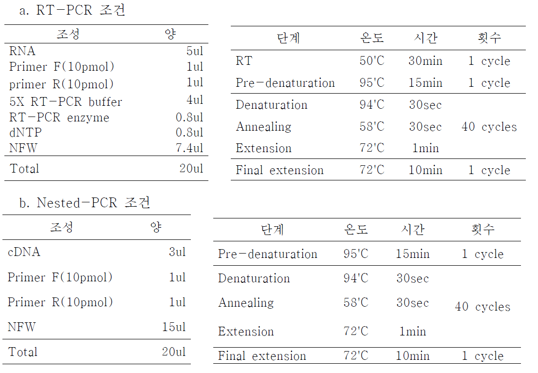 SFTS 바이러스 유전자 검출을 위한 RT-Nested PCR 조건