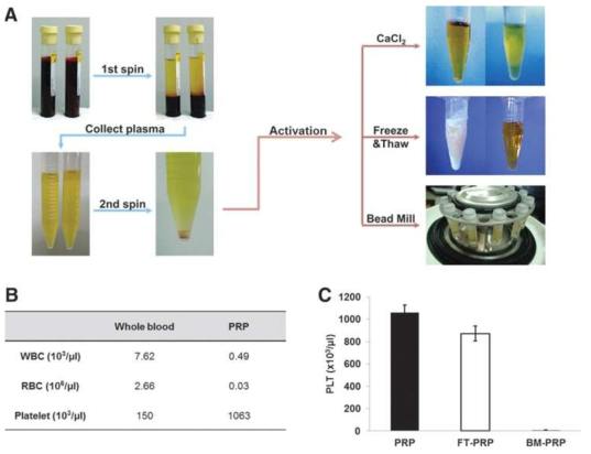 PRP 제작 및 활성화 모식도
