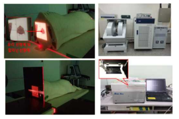 Experimental setup and devices for irradiation of organs in the minipig physical phantom