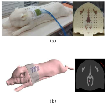 Evaluation setup for local exposure in irradiation situation