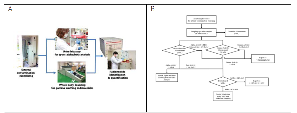 Radiation effect clinic (A) / Flow chart for internal dosimetry (B)