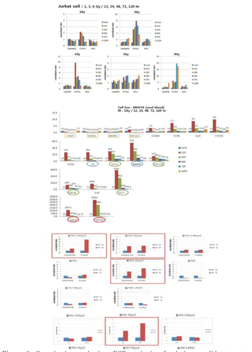 Quantitative real-time PCR analysis of relative candidate target gene levels in lymphocytes isolated from human blood and Jurkat cells at indicated times after in vivo or in vitro irradiation.