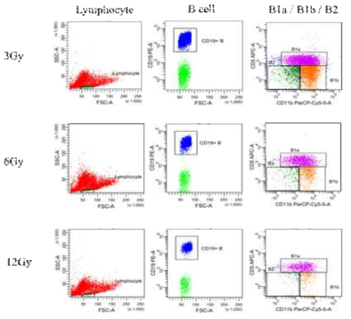 Expression level of cell surface marker between irradiated (red) and naive peritoneal B-1 cell by irradiation.