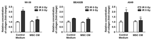 Secretion factor from MSC inhibits collagen synthesis