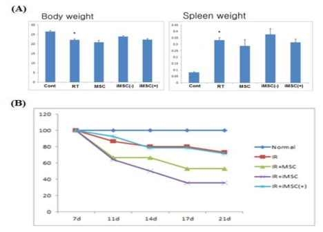 Effect of iMSC on tissue weight and survival after irradiation.