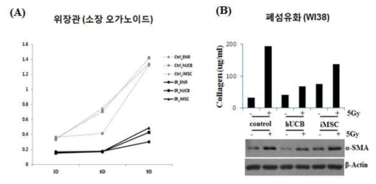 Effect of iMSC on intestinal organoid and lung fibrosis after irradiation.