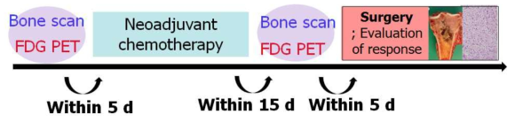 골육종 환자에서 PET와 뼈스캔 임상시험 과정