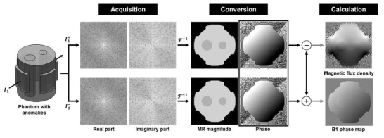 모의팬텀 영상실험에서 위상신호의 분리와 도전율 대조도를 위한 자속밀도 및 B1 위상 영상의 획득과정