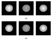 PET detector를 사용하지 않은 MR sequence별 팬텀 이미지 (spin echo (좌), turbo spin echo (중간), gradient echo (우)) MR 팬텀 이미지 (a), PET detector를 사용 한 MR sequence별 팬텀 이미지 (spin echo (좌), turbo spin echo (중간), gradient echo (우)) (b)
