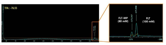 19F-MRS 를 이용한 FLT (-175.9 ppm) 와 FLT-MP (-175.2 ppm) 의 위치 확인