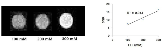 FLT 농도별 팬텀을 이용한 SNR 확인