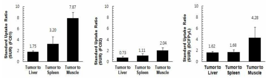 주요 조직 대비 종양 섭취율
