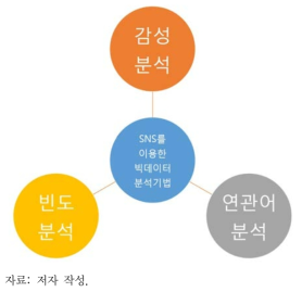 본 연구에서 사용한 SNS를 이용한 빅데이터 분석기법