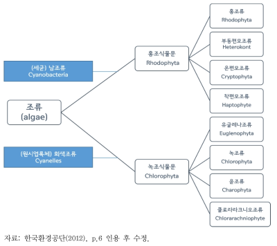 발생학 기준에 따른 조류의 분류