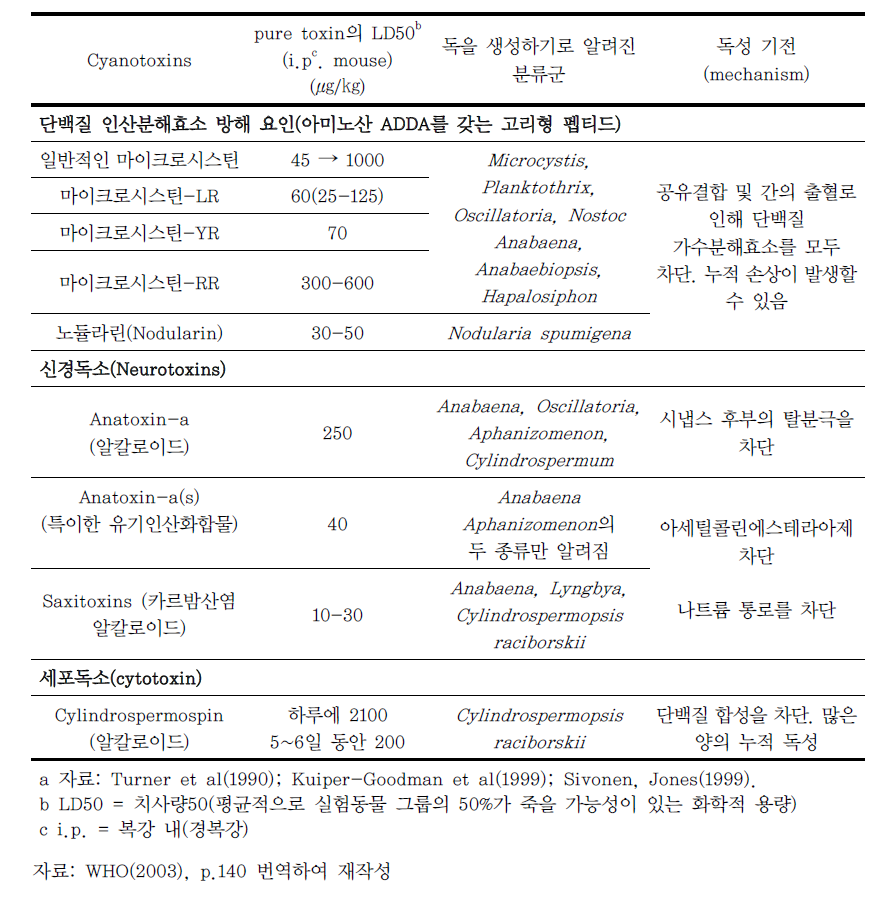 남조류 독소 및 급성독성