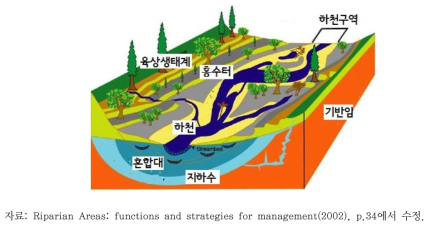 하천-수변생태계 모식도