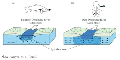 혼합대 지표수-지하수 수교환의 (a) 아가미 모델과 (b) 허파 모델