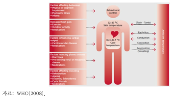폭염의 건강영향 메커니즘