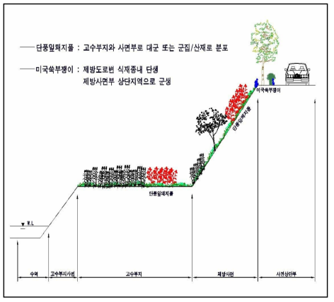 한탄강국민관광지 하천지역의 생태계교란식물 분포 모식도