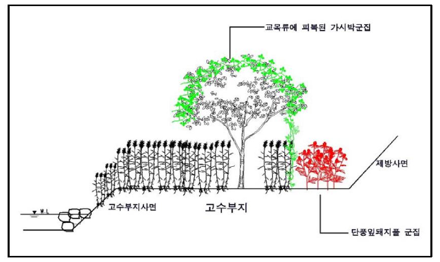 황구지천 정비사업지 둔치의 생태계교란식물 분포 모식도