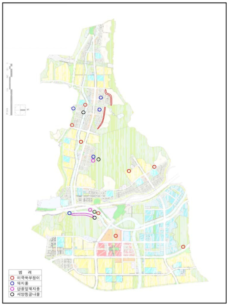 성남판교지구 택지개발사업지의 생태계교란식물 주요 분포도