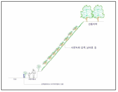 국도39호선 우회도로 개설공사지 절토부 생태계교란식물 분포 모식도