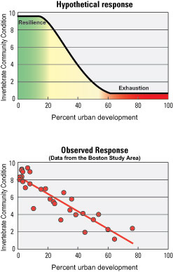 도시화율에 따른 저서생물 군집조건 관측