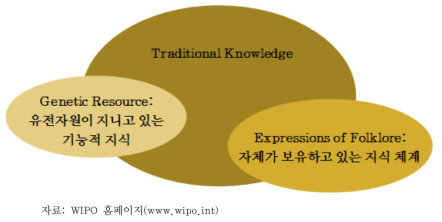 WIPO/IGC 유전자원, 전통지식, 민간전승표현물의 관계
