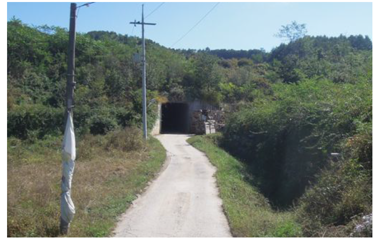 동물이동에 사용될 수 있는 통로 : 터널