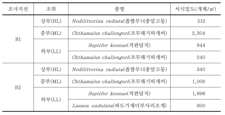 2013년 8월(서망항 지점) 대형저서동물의 조사지선 및 조위별 우점종