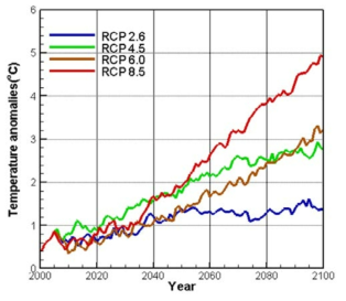 RCP 4종 시나리오에서 계산된 대기온도 상승치