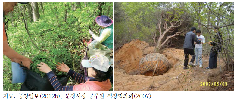 임도를 이용한 산나물 불법채취 및 소나무 불법반출