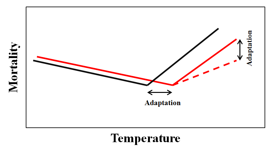 기온-사망 관련성에서의 적응 메카니즘