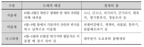 낙동강 하류의 철새