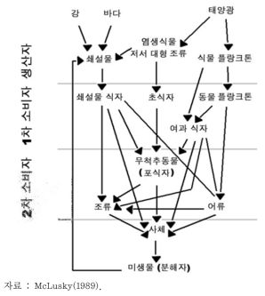 기수역의 생태계 먹이그물