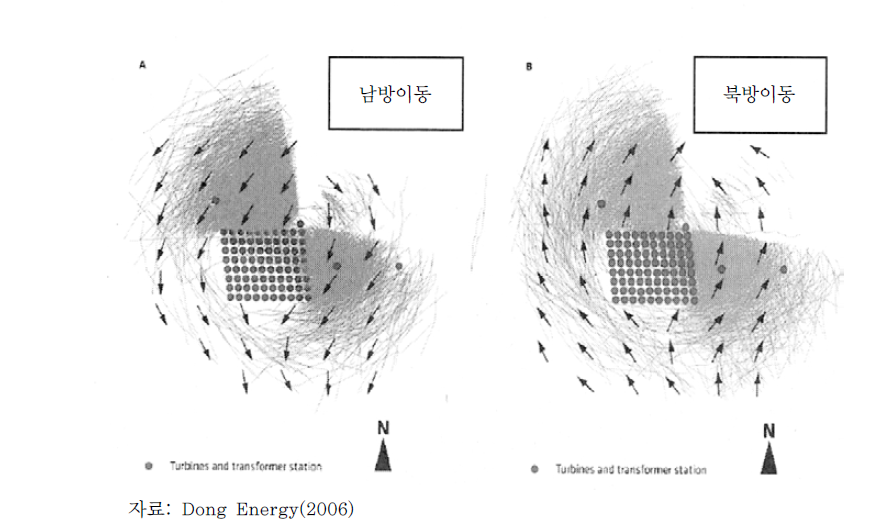 호른스 레우에서 레이더에 의한 조류의 비행궤적