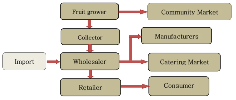Fruit Supply Chain in Cambodia