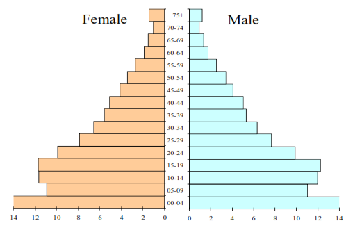 Age Group Pyramid in 2010