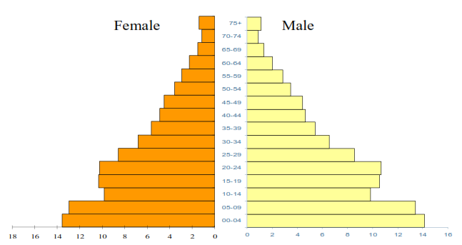 Age Group Pyramid in 2015