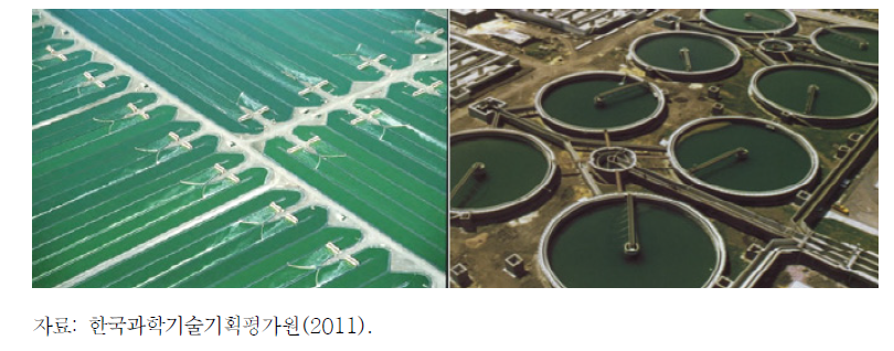 대표적인 개방형 미세조류 배양장치: (좌)도수로(raceway)와 (우)연못형(pond)