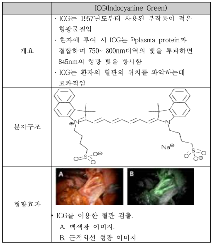 형광물질의 개요