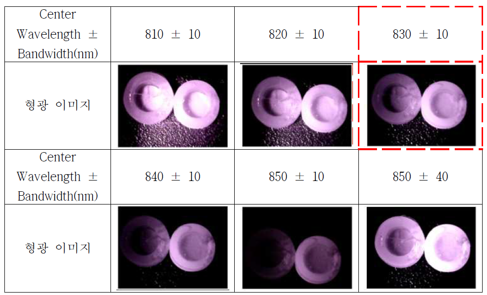 band pass filter(BPF)의 통과대역에 따른 형광이미지 비교