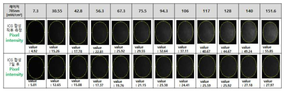 ICG 샘플 형광효율 변화 픽셀 분석