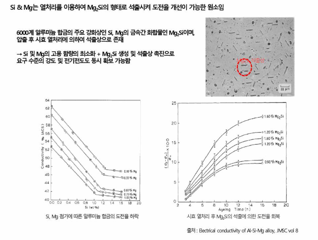 Si 및 Mg 성분 검토