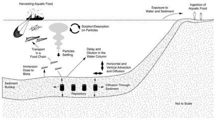 MARINRAD의 해양 방사성폐기물 처분에 따른 방사선영향평가 개념