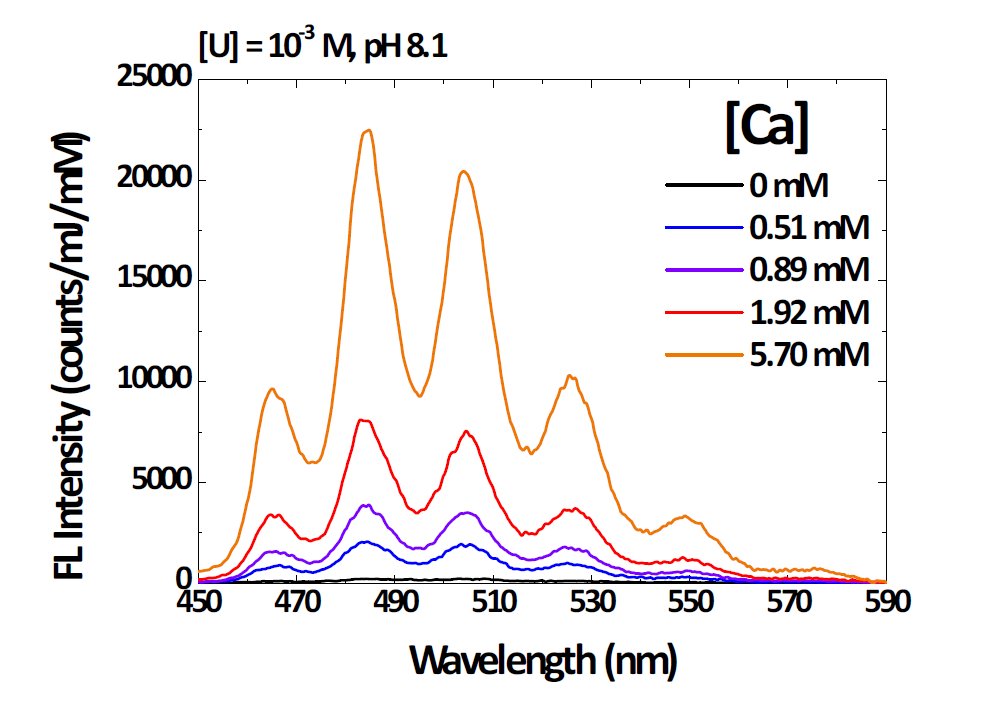 Ca 농도에 따른 Ca-UO2-CO3 화학종의 형광스펙트럼