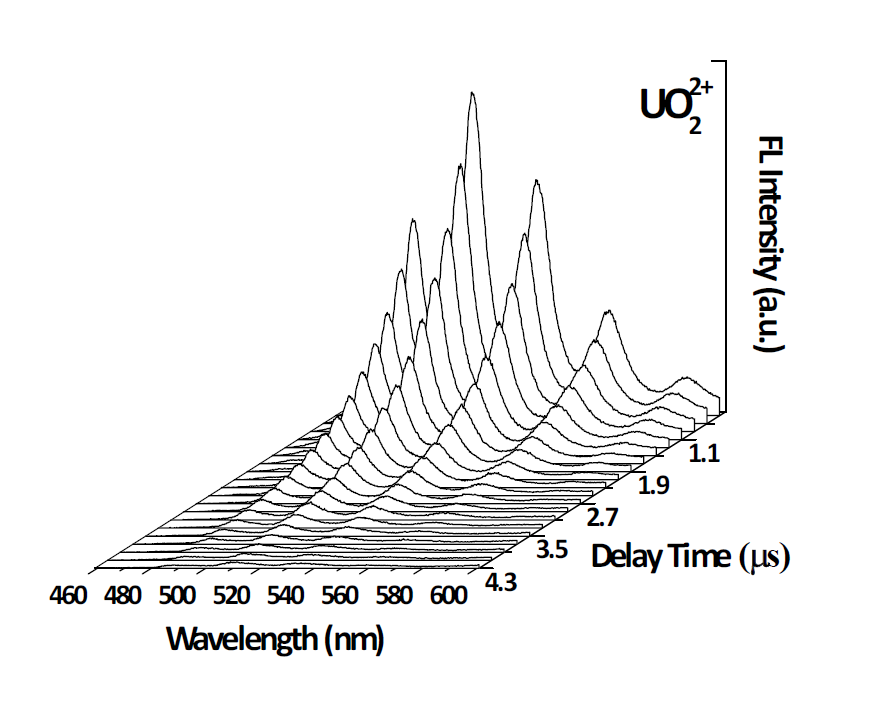 시간에 따른 UO2 2+ 이온의 형광세기