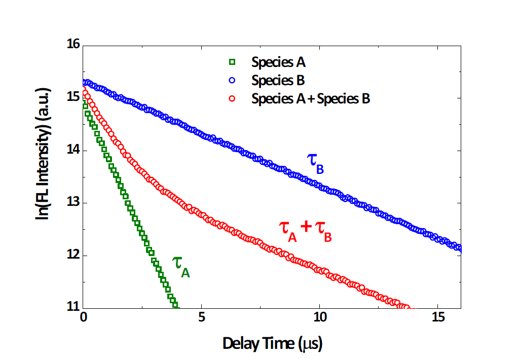 시간에 따른 형광세기로부터 형광수명이 다른 두 화학종 규명