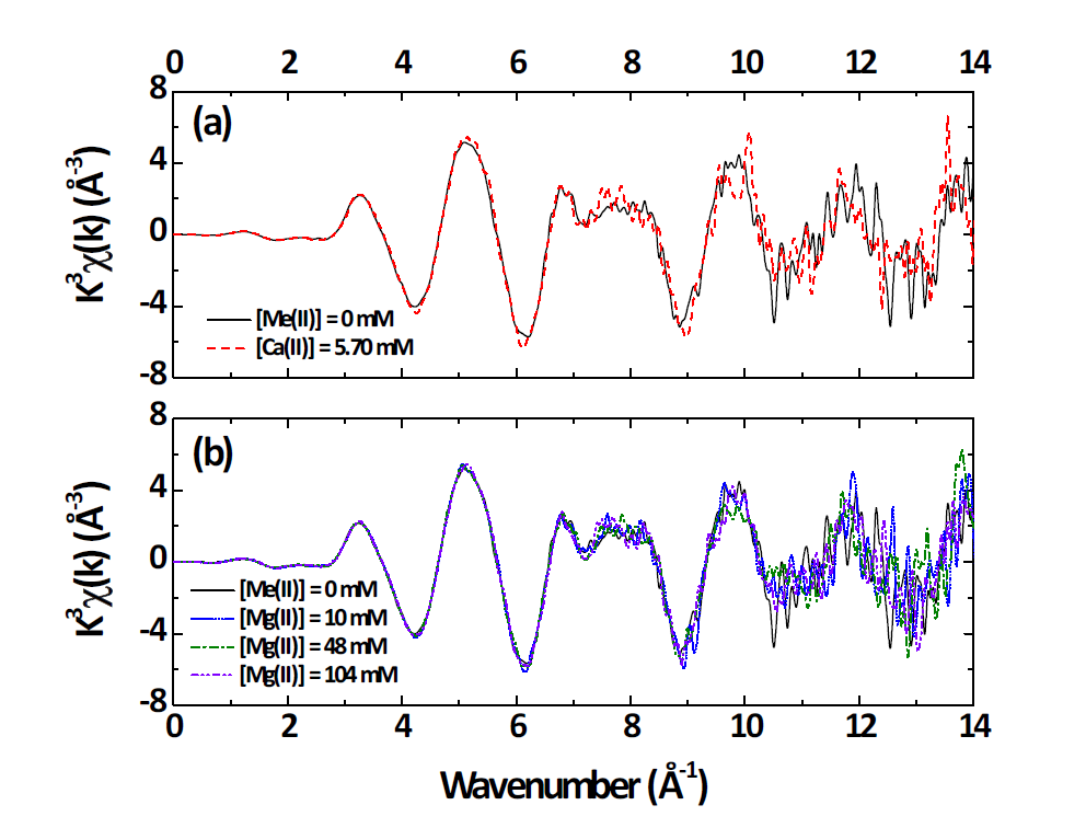 다양한 알칼리 토금속 이온조건에 따른 (a) Ca-UO2-CO3 및 (b) Mg-UO2-CO3 화학종의 U-LIII EXAFS 스펙트럼