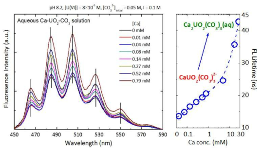 흡착실험 전 수용액 내 존재하는 Ca-UO2-CO3 삼성분 화학종의 형광스펙트럼 및 형광수명